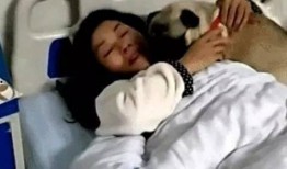 探病在线观看,科技助力远程医疗，关爱无处不在