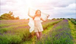 薰衣草 在线观看,在线观看之旅