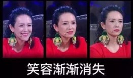 辰飞爆料原视频,原视频背后的惊人真相