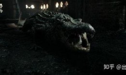 巨鳄风暴爆料视频,惊心动魄的生态危机揭秘