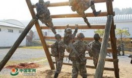 虎刺拳爆料视频