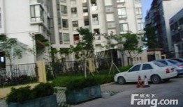 龙游龙湖湾小区最新爆料,揭秘神秘项目与周边发展动态