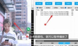 视频爆料网小程序下载,下载体验与功能解析