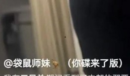 爆料视频置顶,爆料视频置顶背后的惊人真相