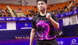 爆料樊振东事件视频,真相与争议交织