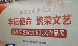 国庆期间的爆料新闻,揭秘国庆期间十大热点事件