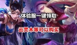 夏洛特爆料实话视频,实话视频背后的真实故事