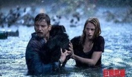 巨鳄风暴爆料视频,惊心动魄的生态危机揭秘