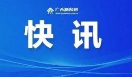 广西新闻爆料地址,聚焦当地热点事件，揭示社会现象