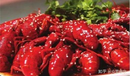 小龙虾套装爆料视频下载,美味诱惑，一网打尽！