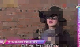 刘小光粉丝爆料视频,揭秘明星幕后故事