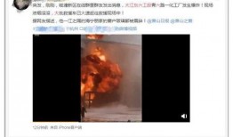 爆料韩婧格视频下载,下载风波背后的真相