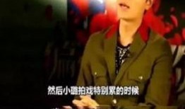 爆料贾乃亮复播视频在线观看,精彩瞬间回顾，网友热议