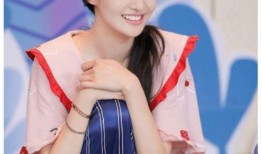 刘维郑爽最新爆料,揭秘娱乐圈背后的真相与情感纠葛